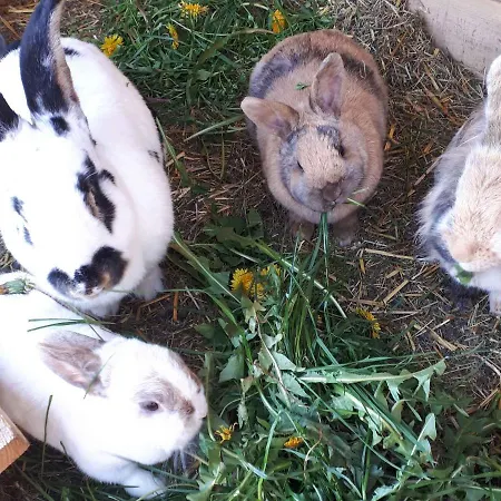 Hof Keppel, Der Stromlose Urlaub Bauernhof *